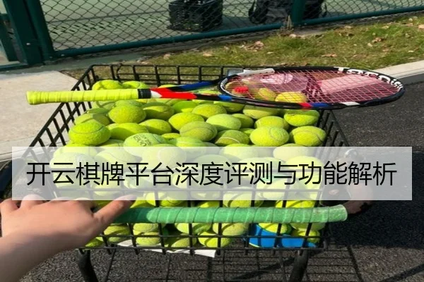 开云棋牌平台深度评测与功能解析 - KAIYUN SPORTS